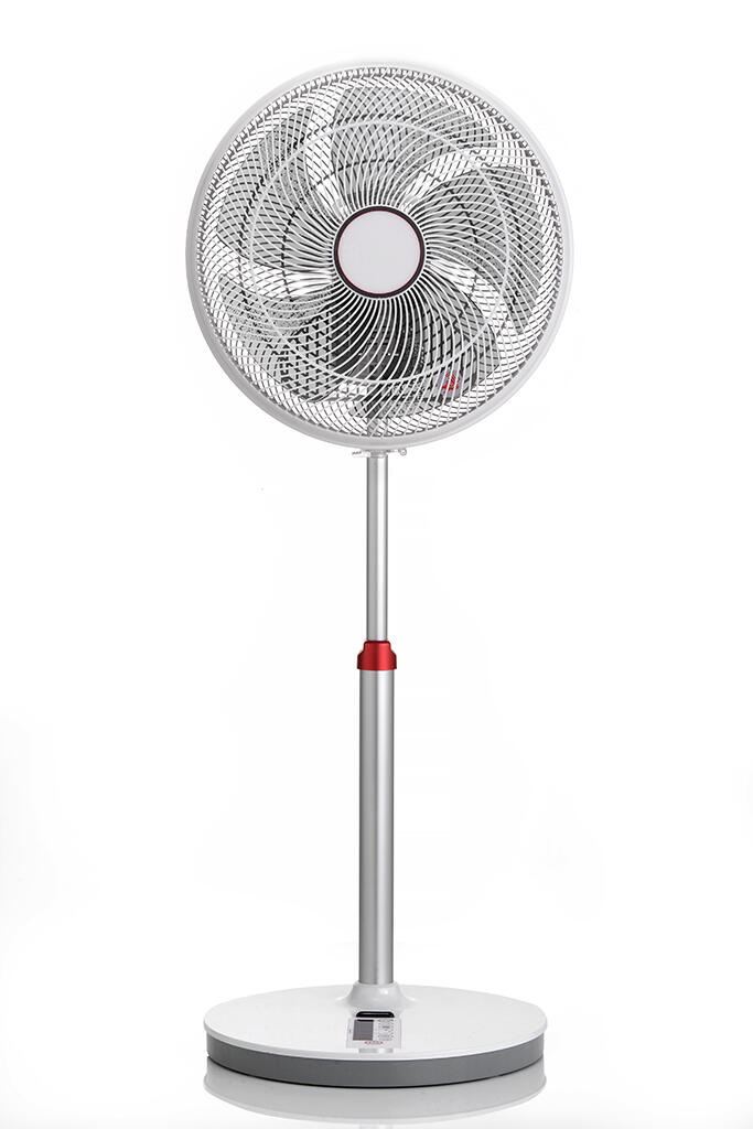 DC Motor Standing Pedestal Fan BC Model Norm Pacific