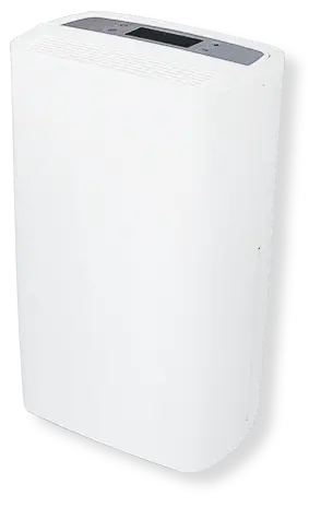 Compressor dehumidifier